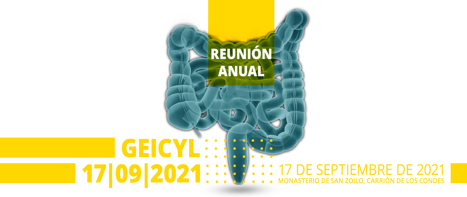 Reunión Anual Geicyl 2021